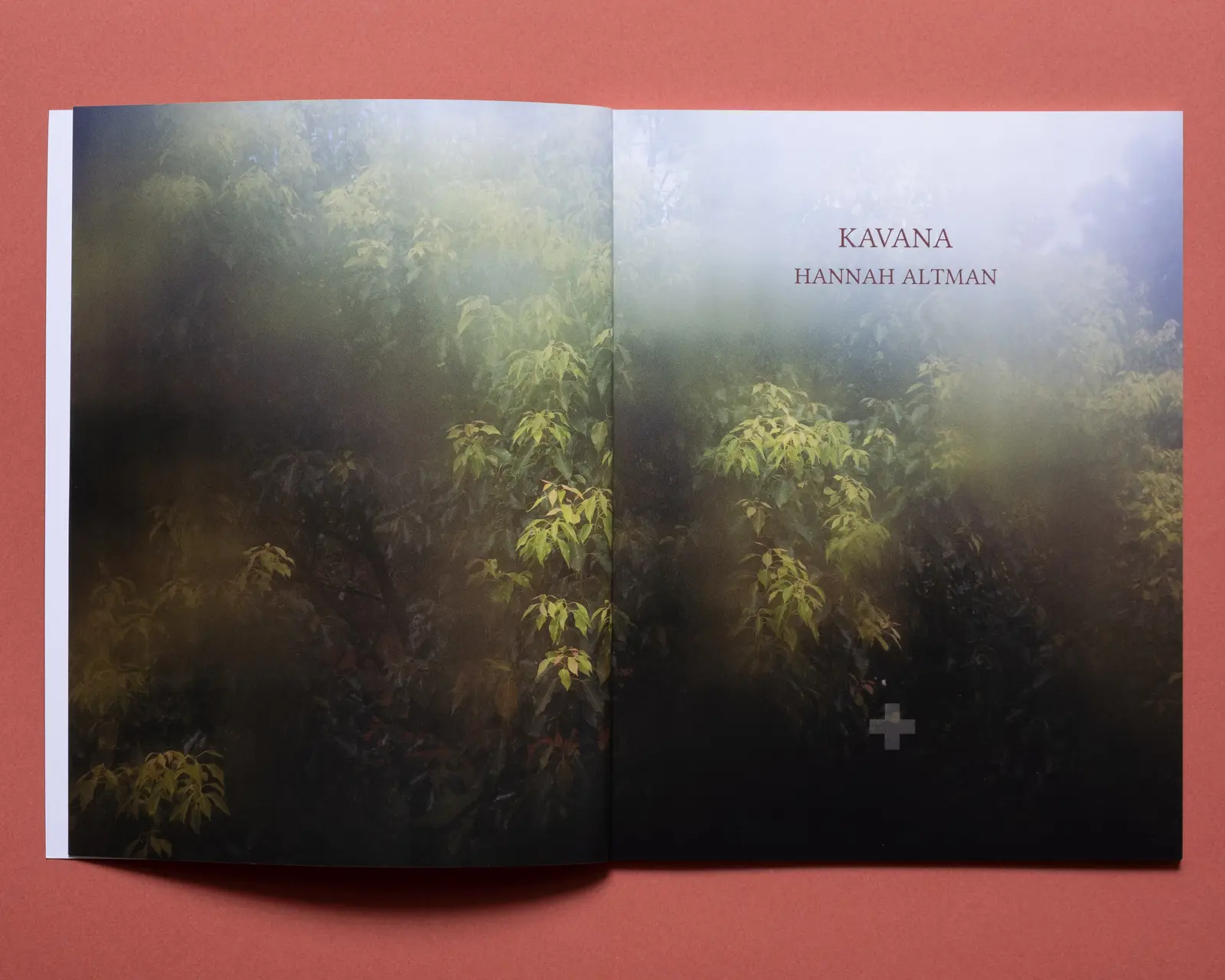 Kavana image 3