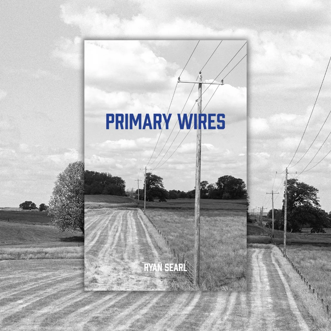 Primary Wires