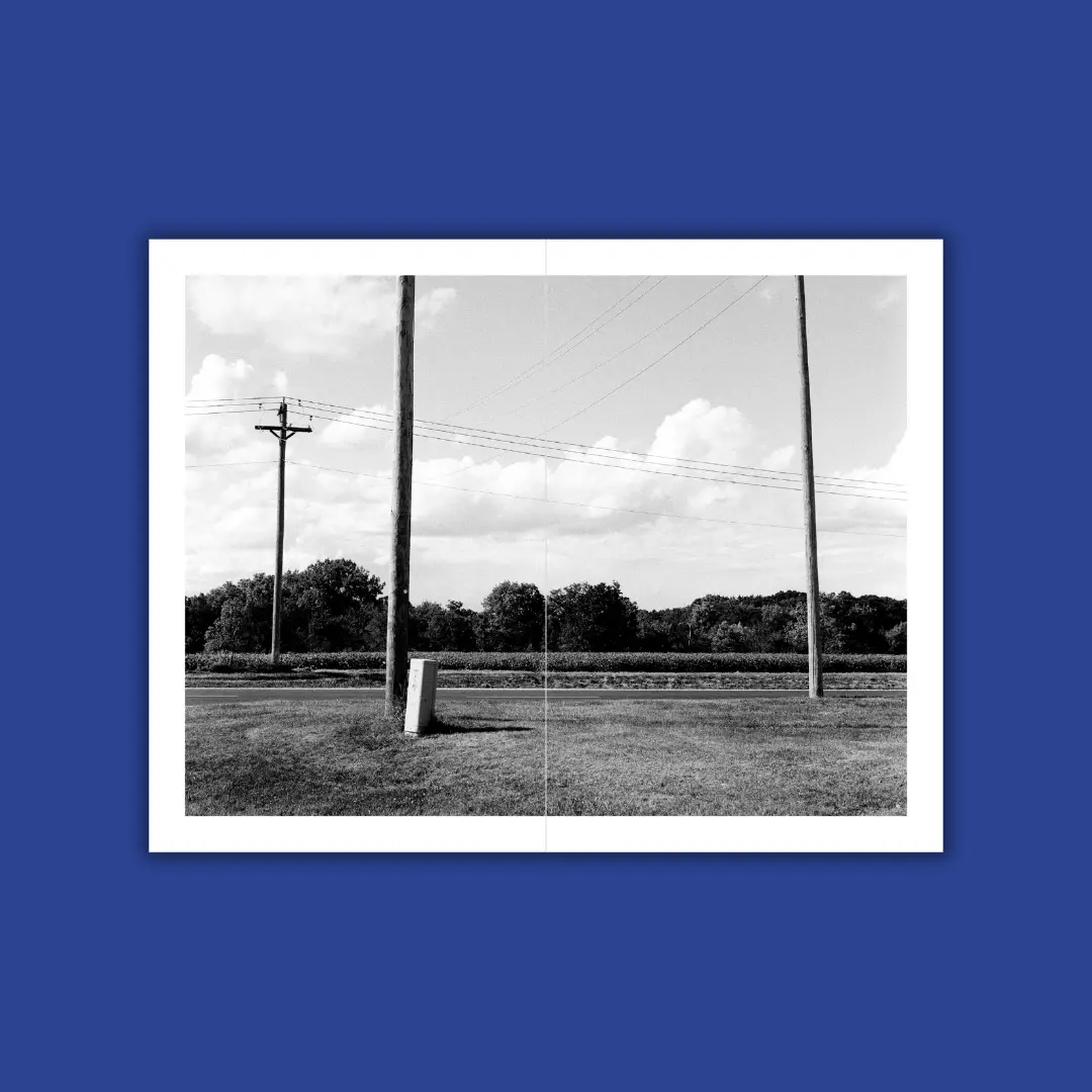 Primary Wires image 2