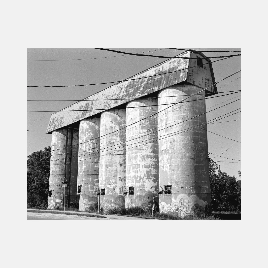 Primary Wires image 3