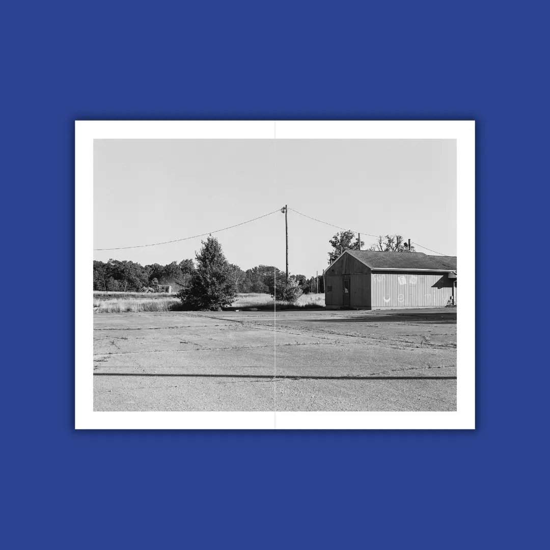 Primary Wires image 4