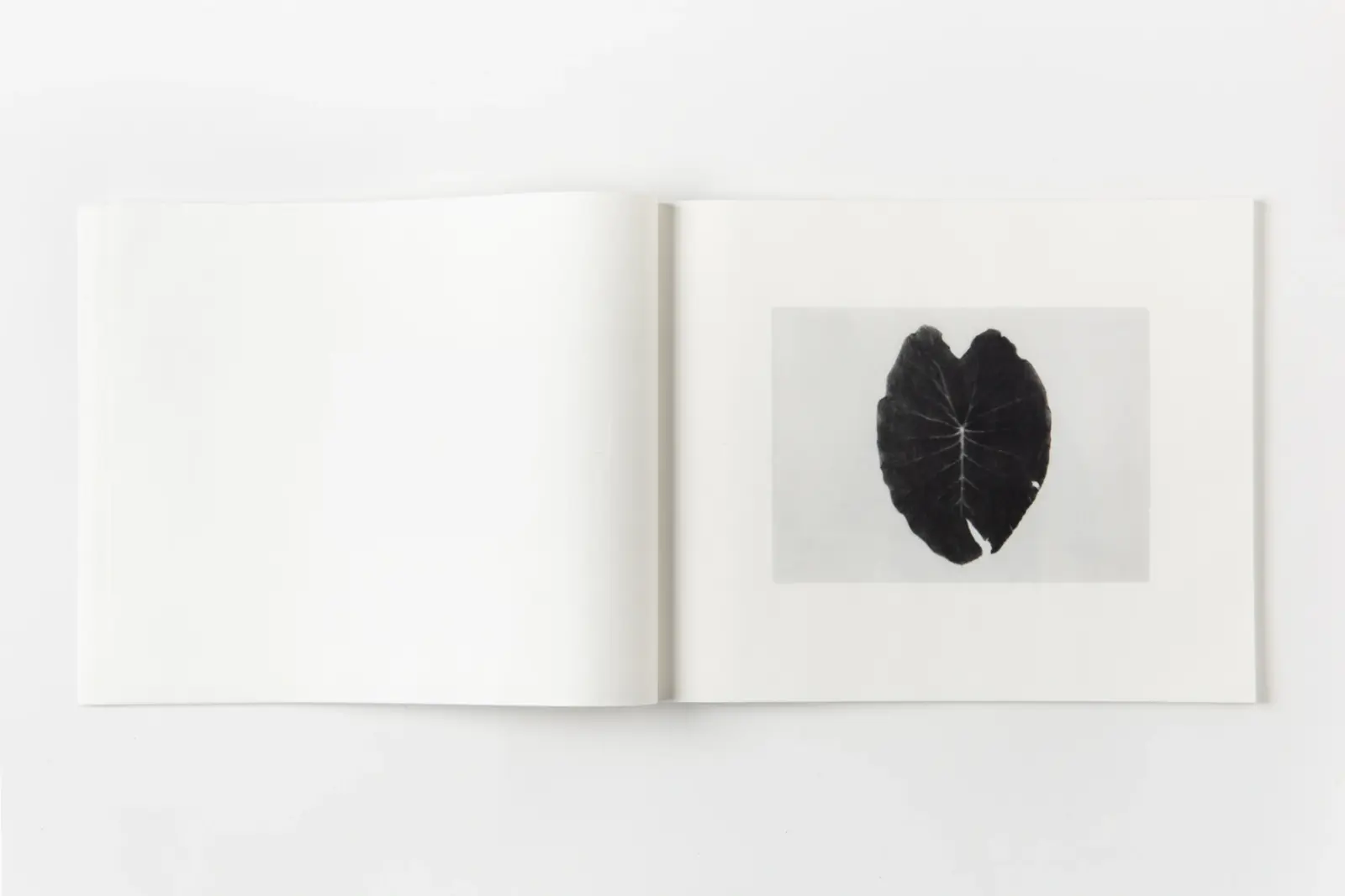 THING image 9