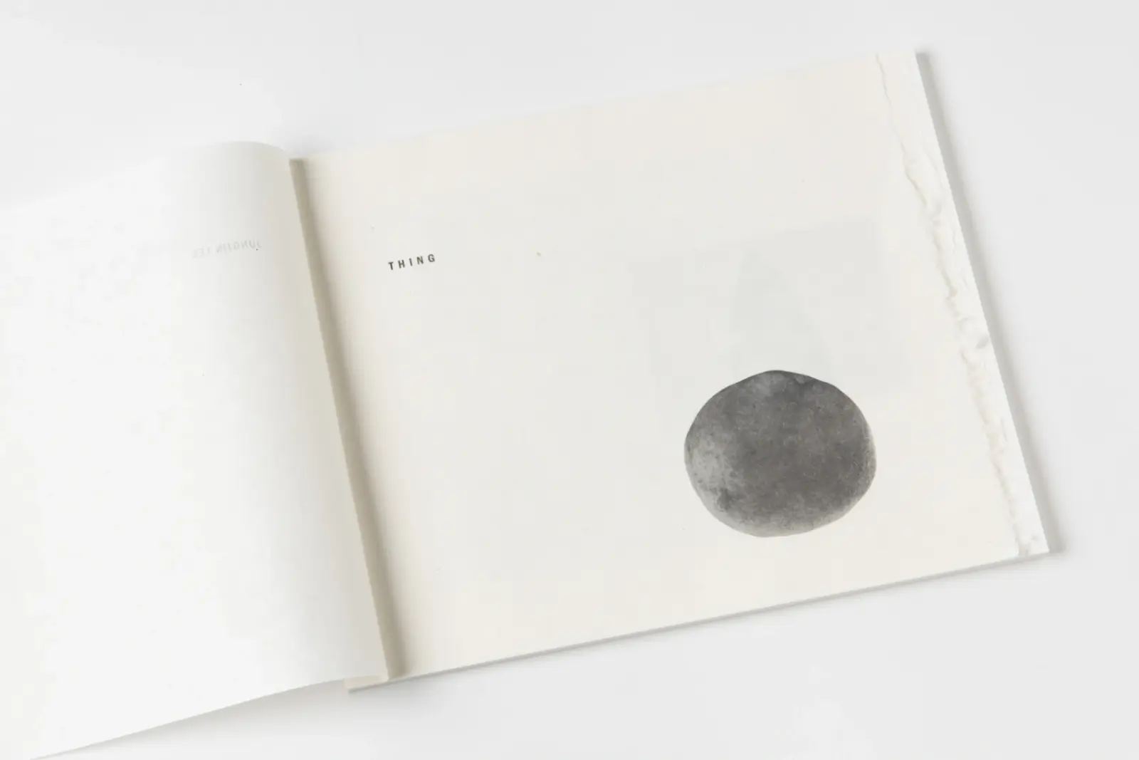 THING image 5