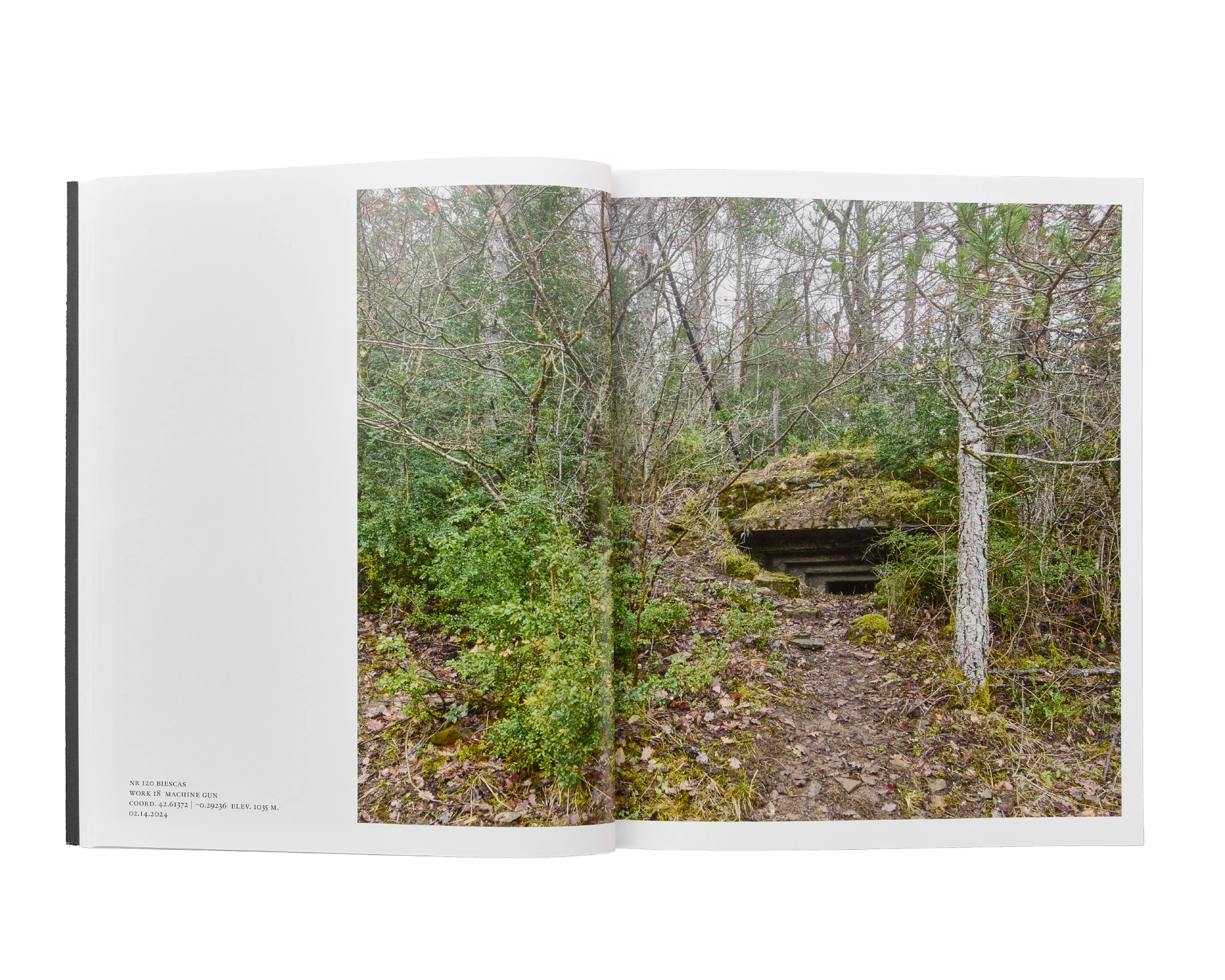 The P Line. The Bunkers of the Pyrenees image 3