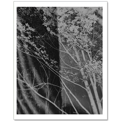 Letting Go image 2