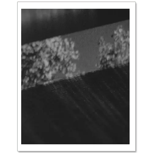 Letting Go image 4
