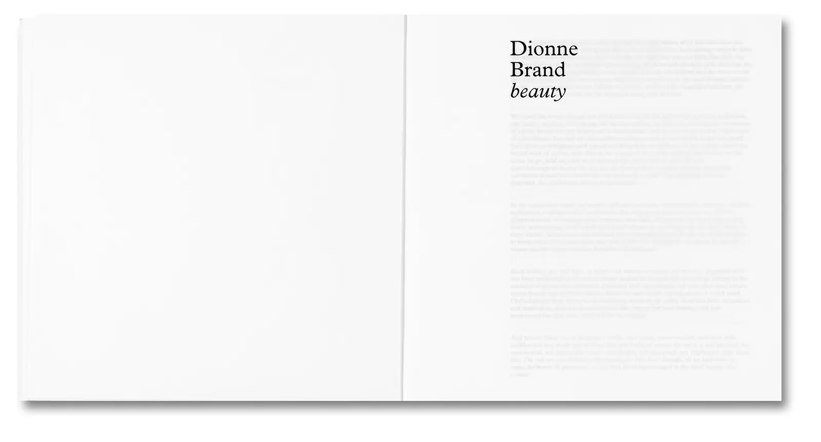 Bounty image 4
