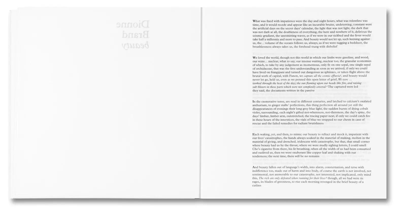 Bounty image 5