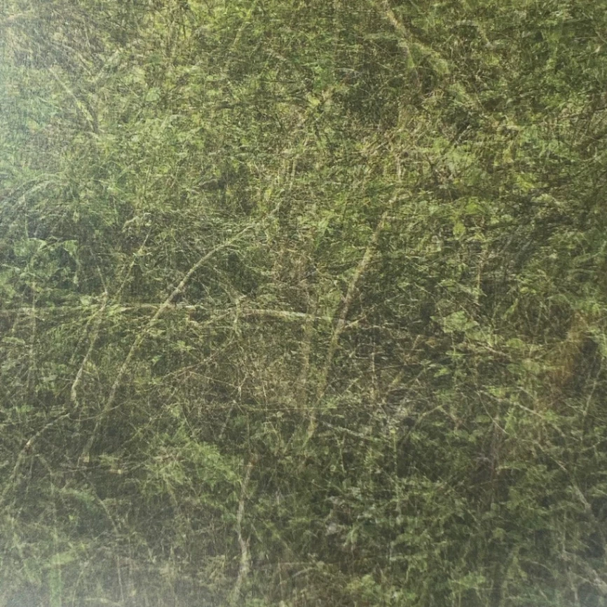 Eden image 2