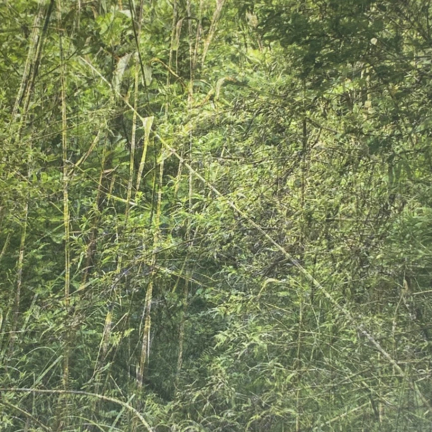 Eden image 4