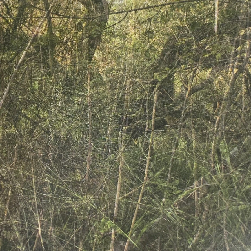 Eden image 5