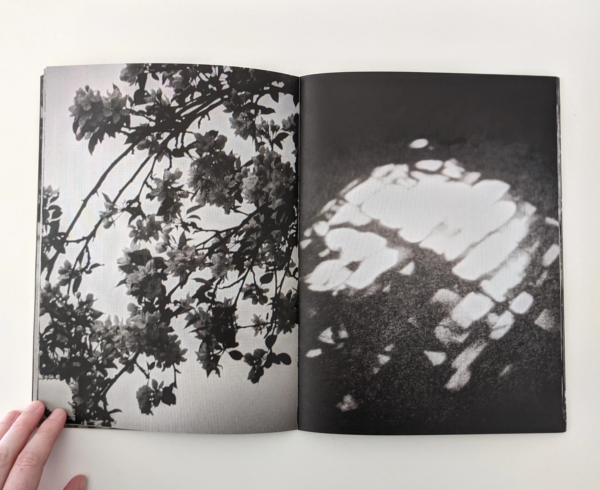 SUNLESS image 3