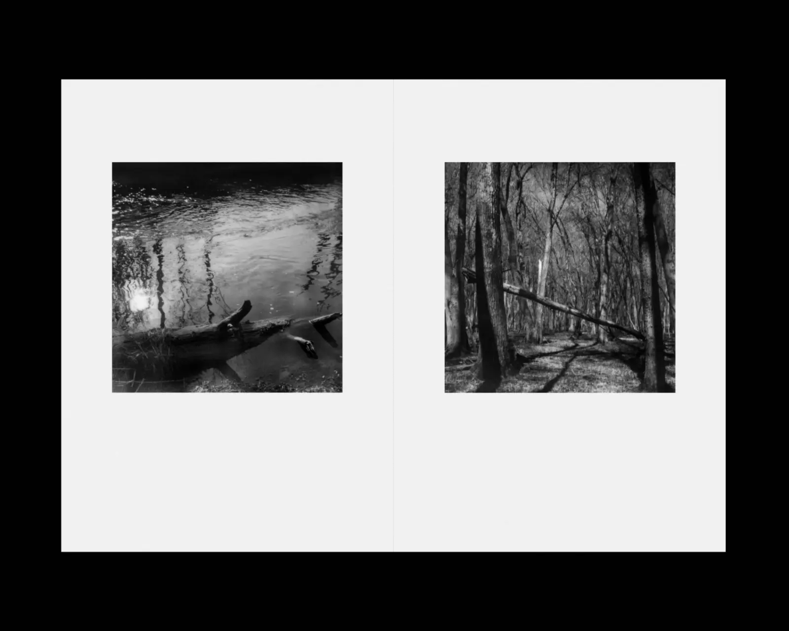 Floodplains image 4