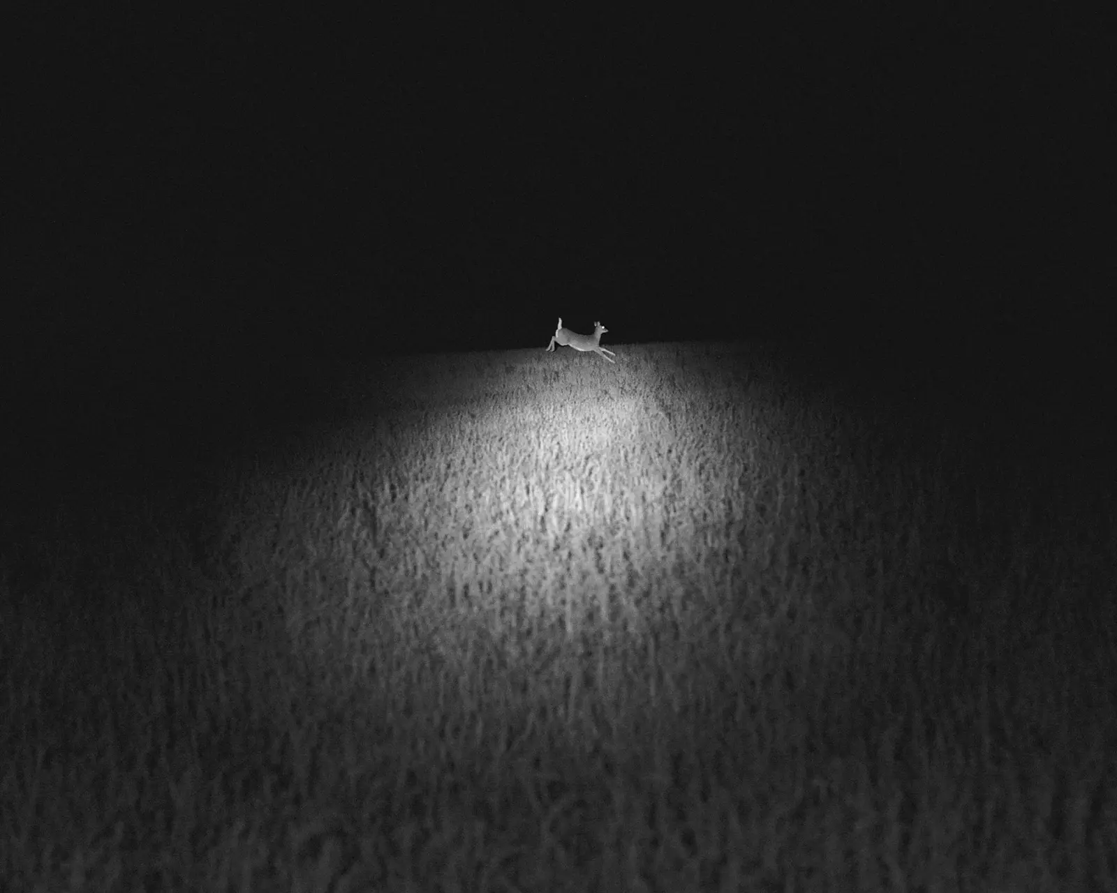 Dormant Season image 3