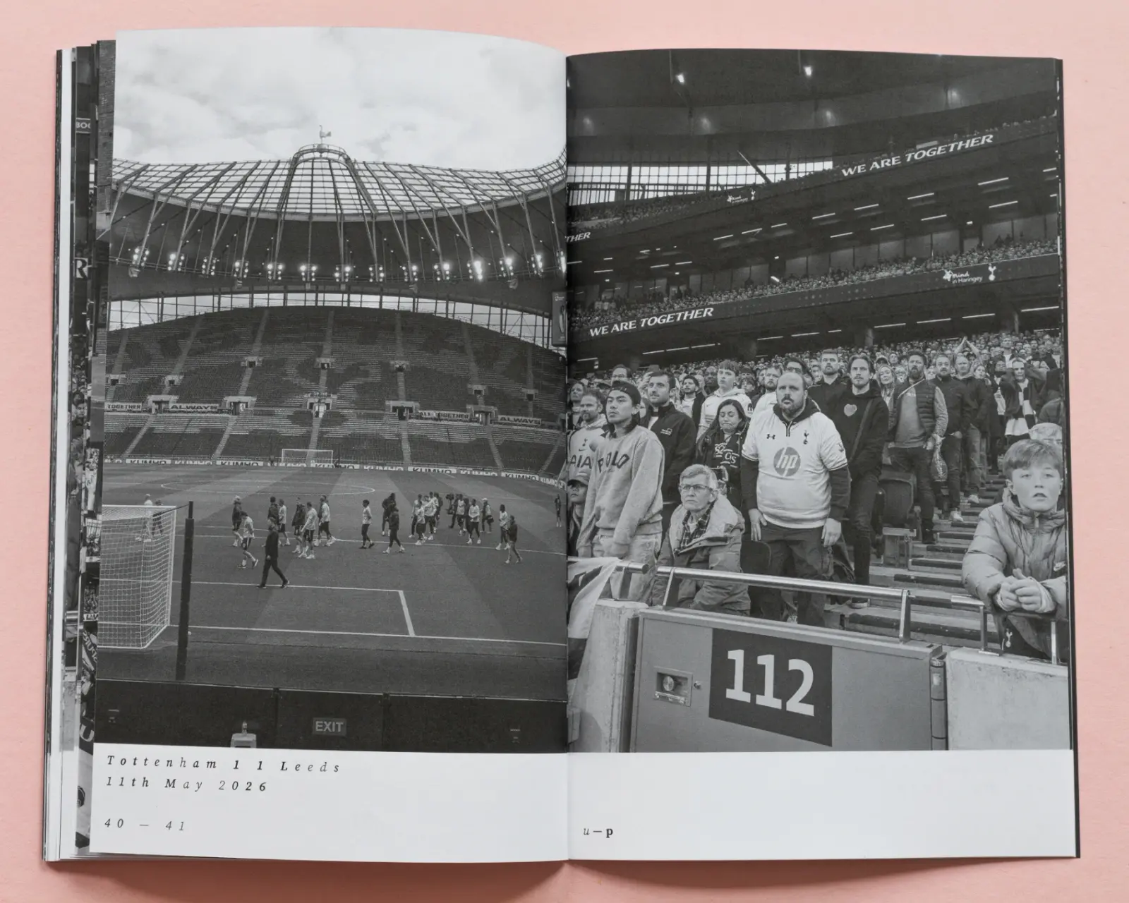 Pitch Gate image 10