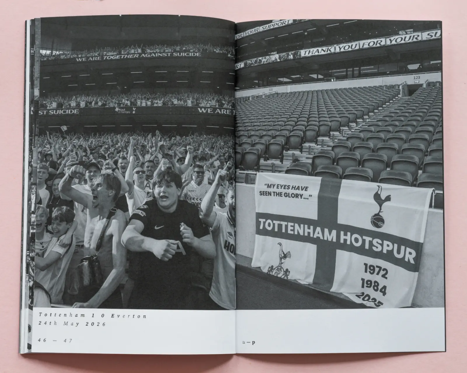Pitch Gate image 11