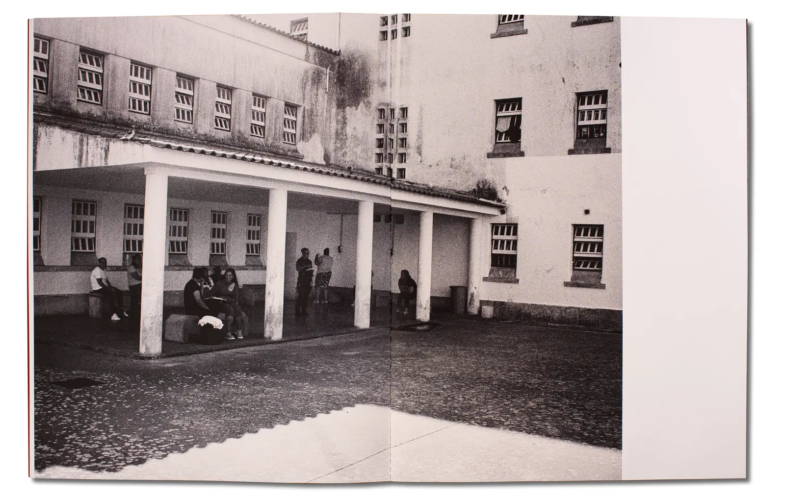 Mana image 9