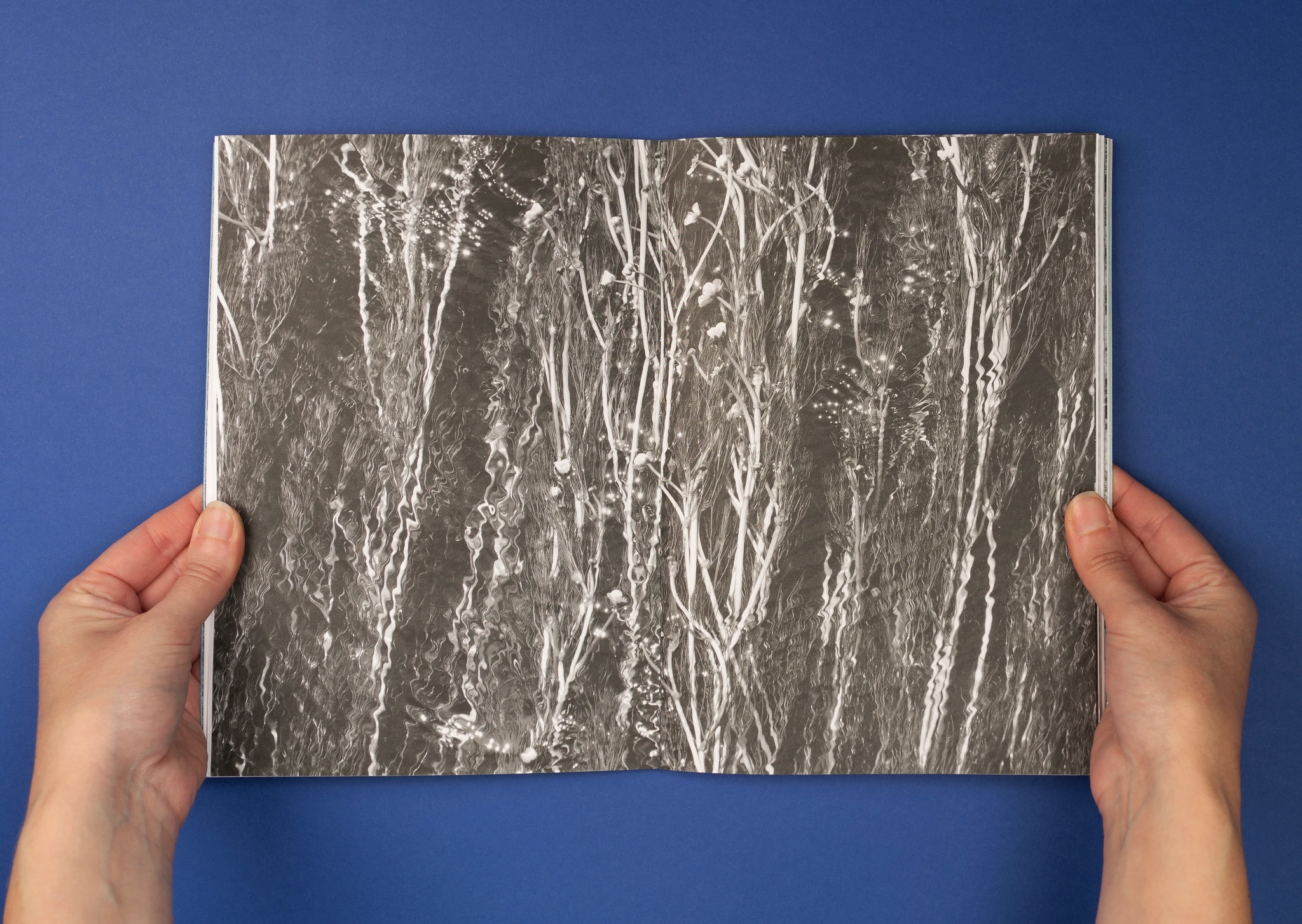 Brythonic image 6
