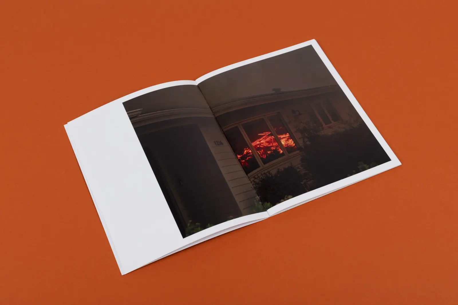 Wildfire image 2