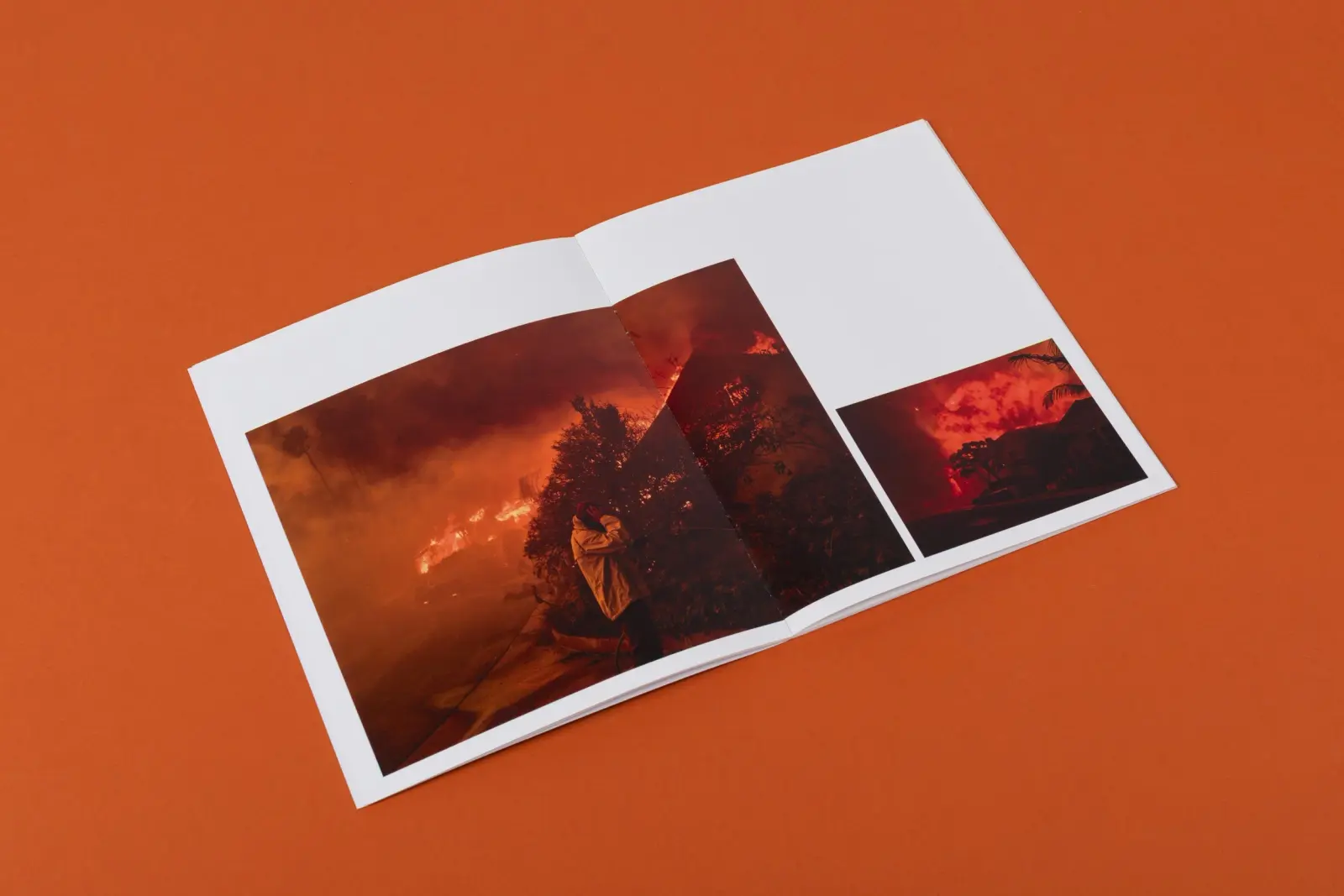 Wildfire image 3