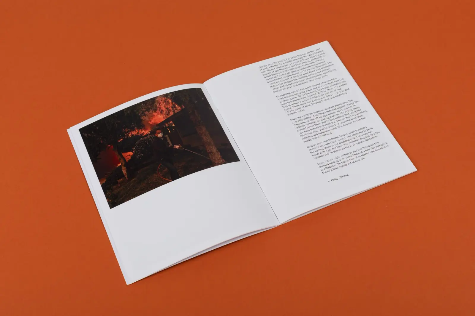Wildfire image 4