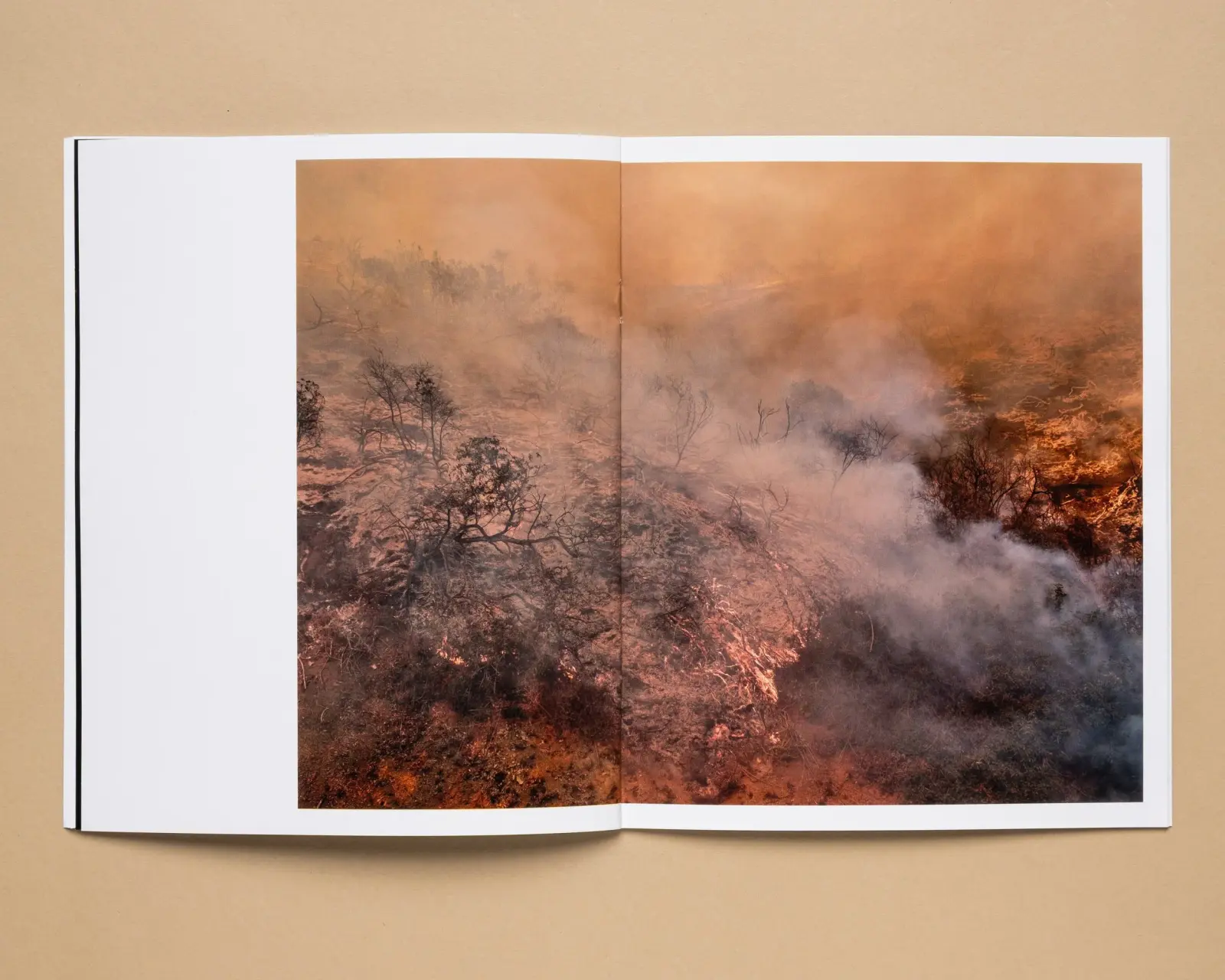 Wildfire image 7