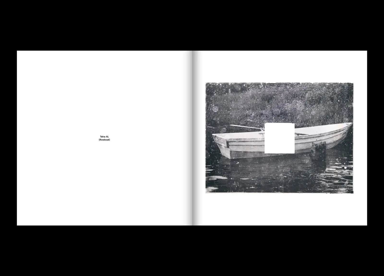Tetra AL image 7