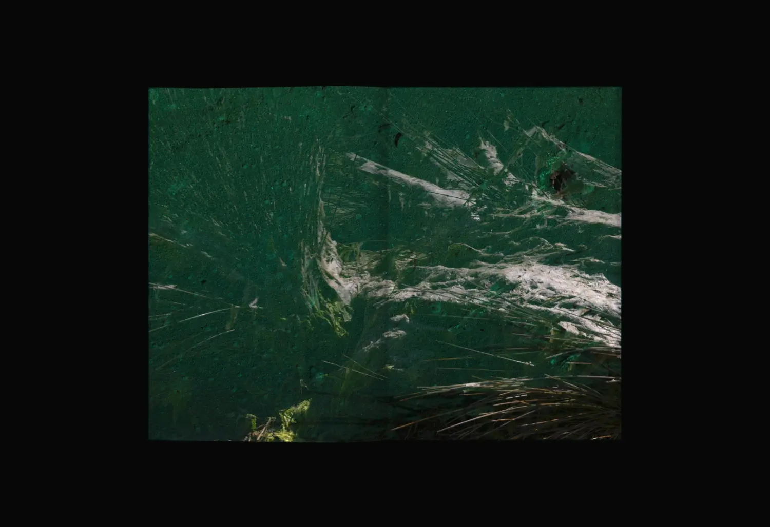 Algues Maudites, a Sea of Tears image 3