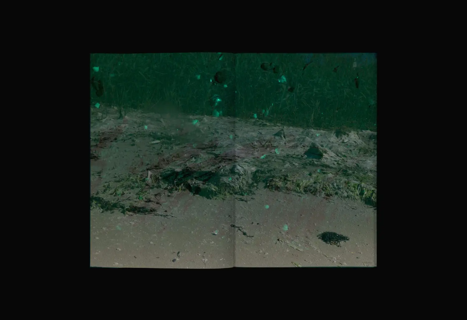 Algues Maudites, a Sea of Tears image 4