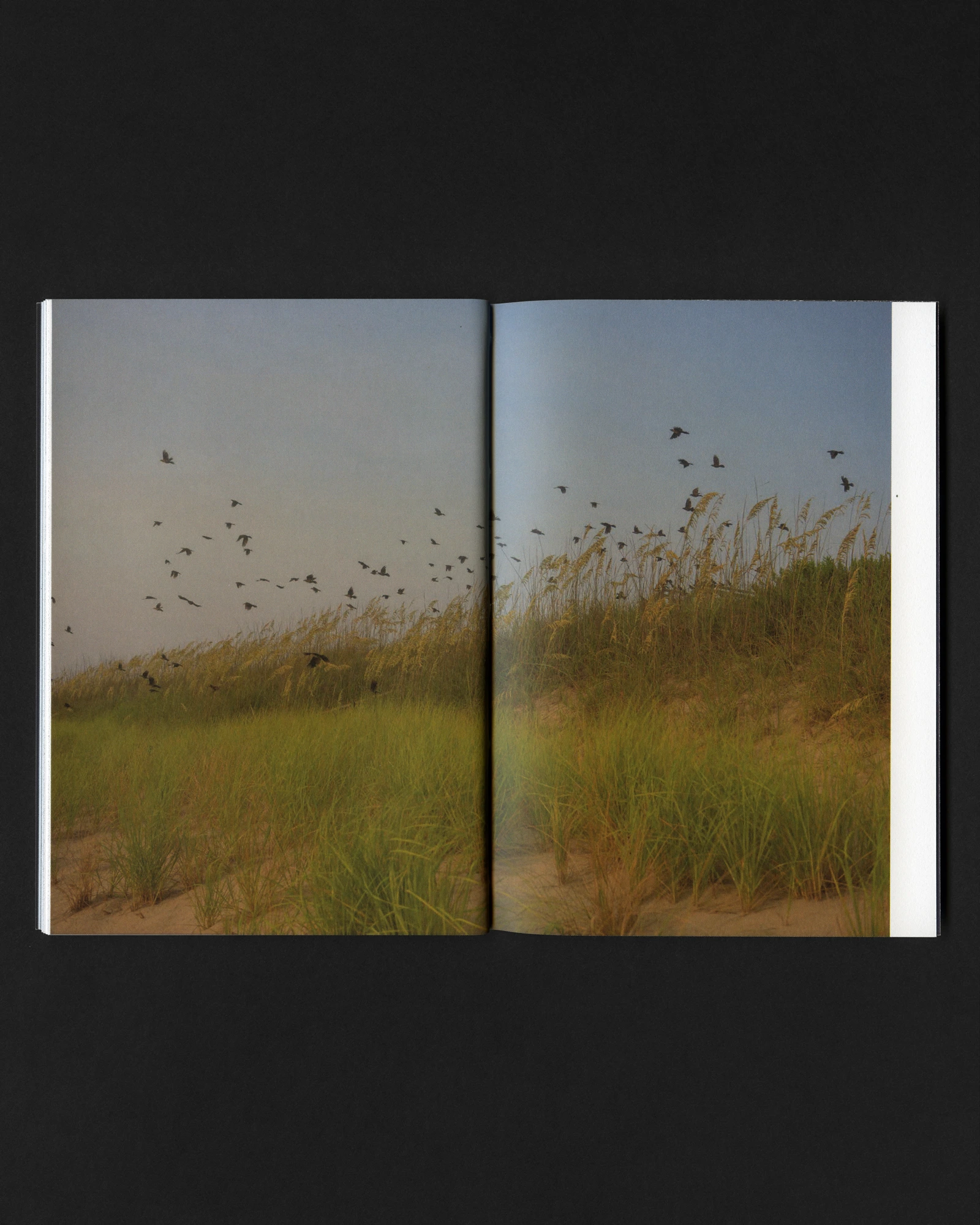 Stasis 002 image 7