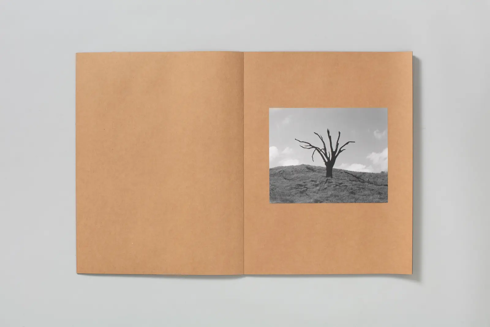 Posthume image 6