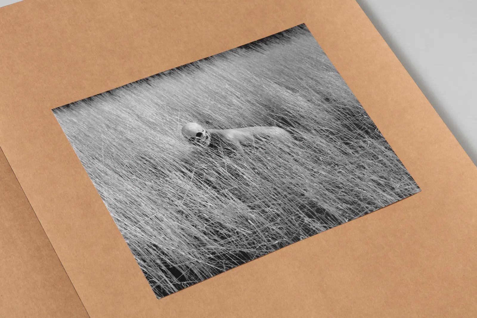 Posthume image 7