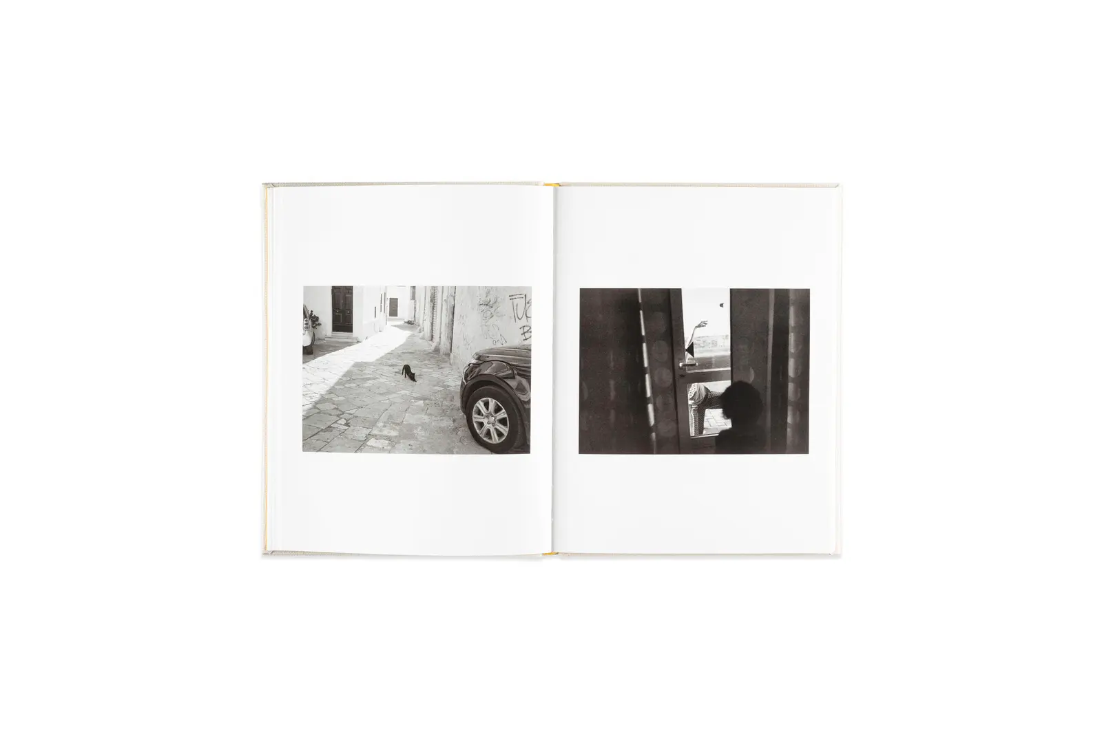 Insieme image 3