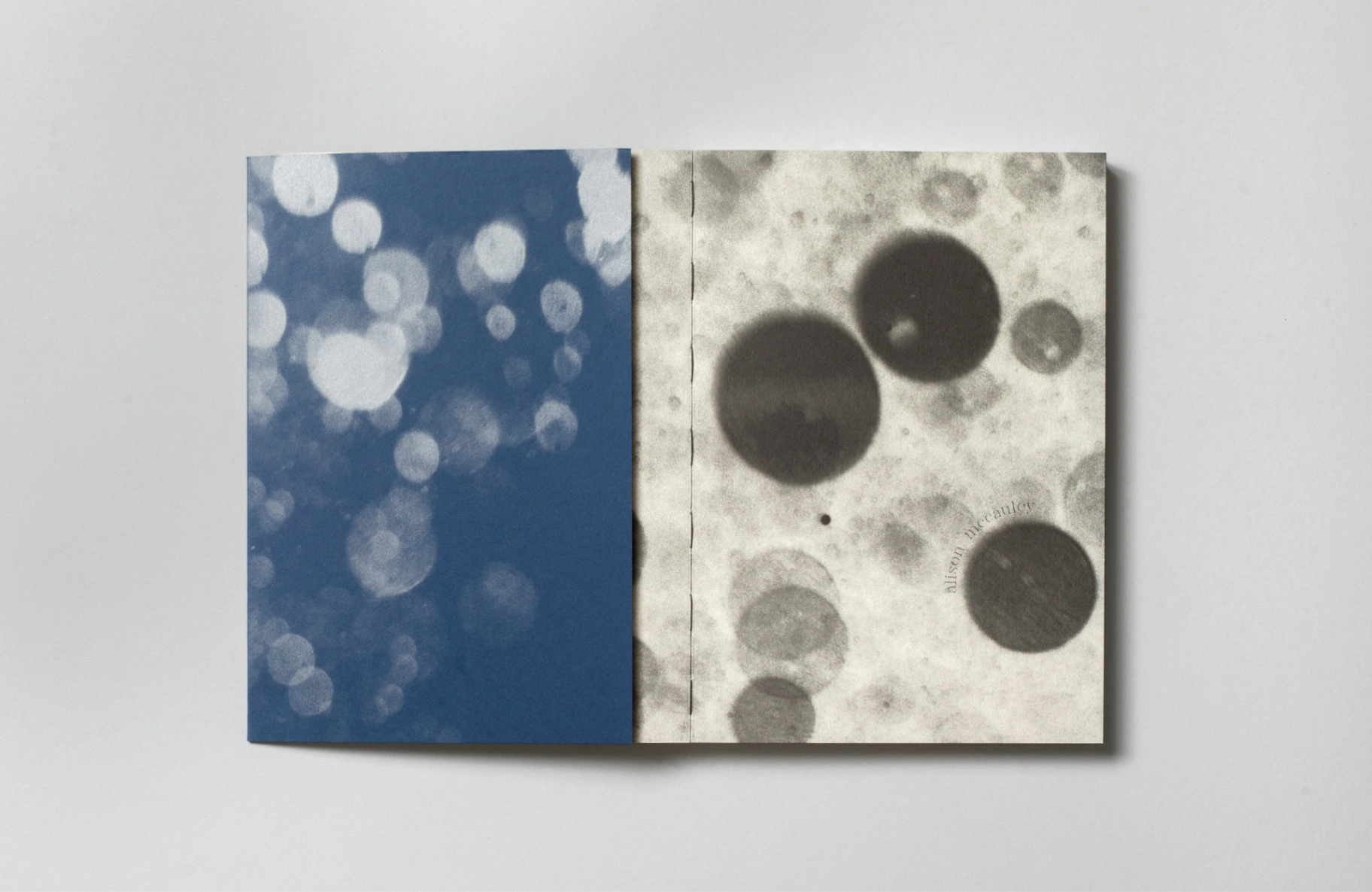 shimmers-alison-mccauley