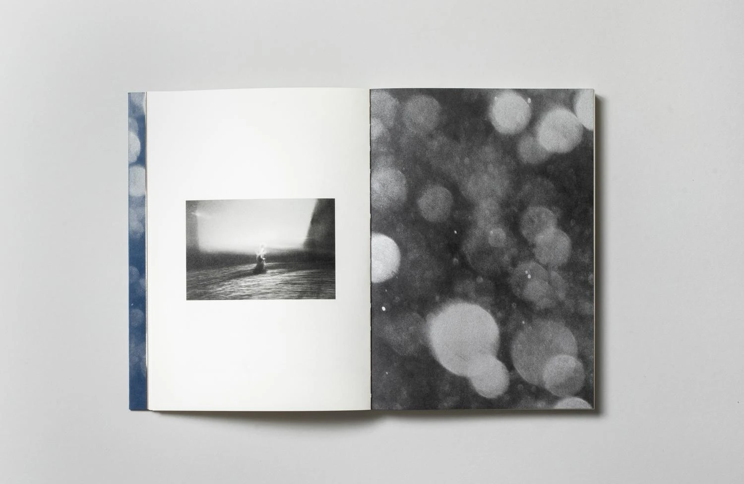 shimmers-alison-mccauley