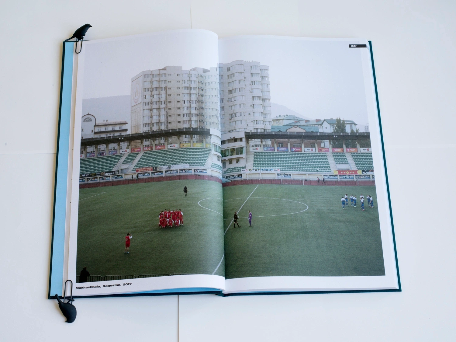 Grassroots image 5
