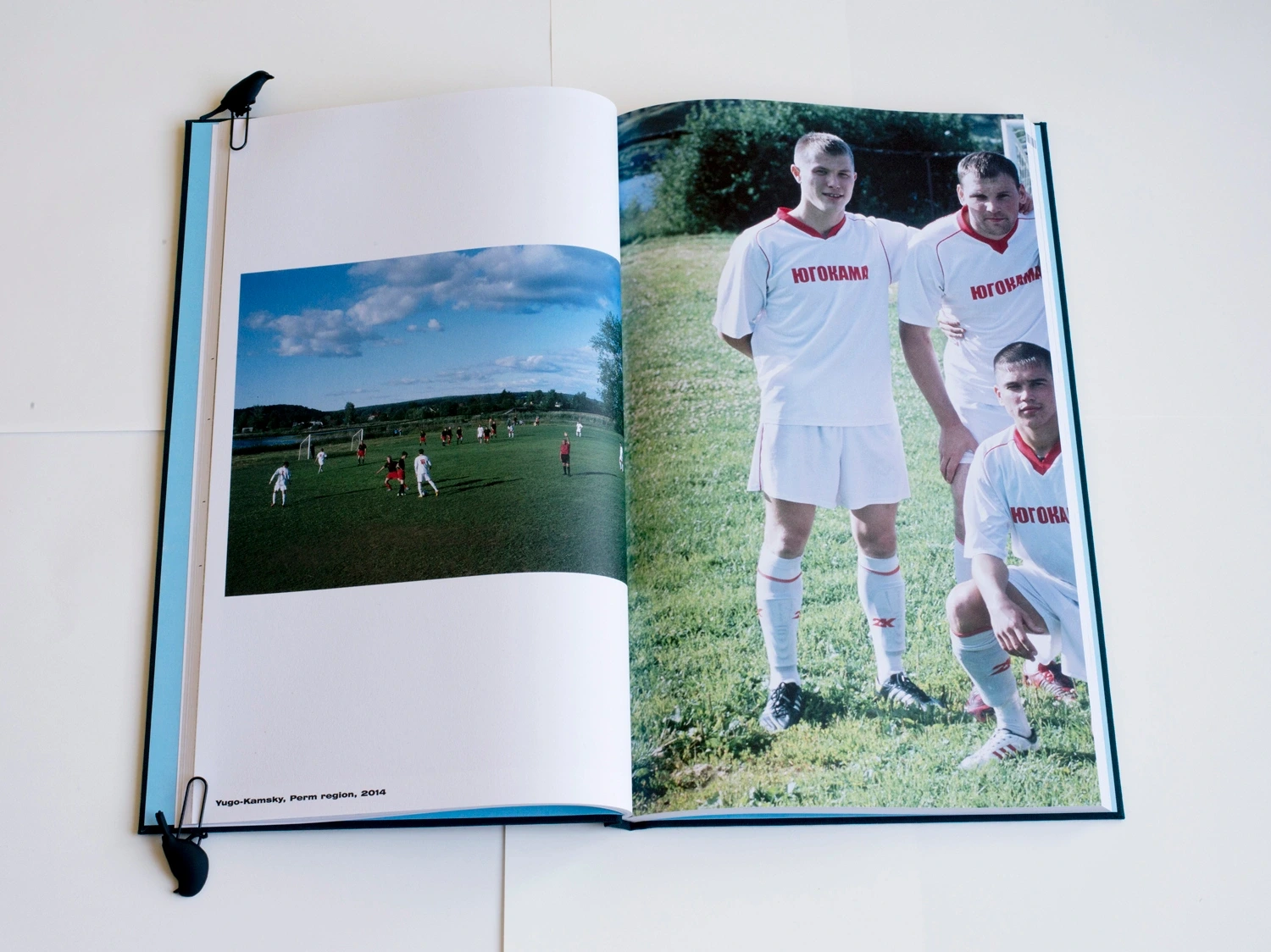 Grassroots image 7