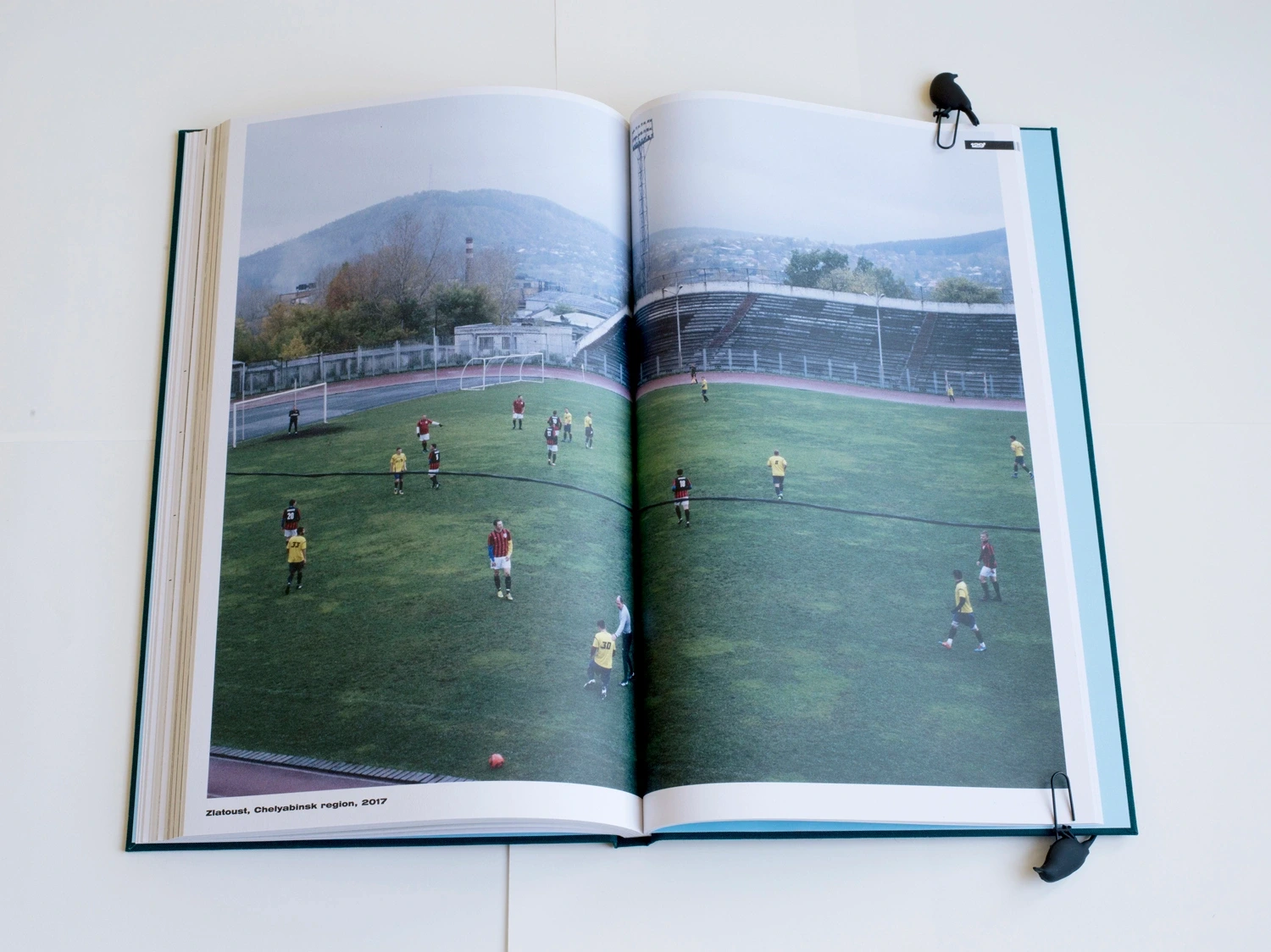 Grassroots image 10
