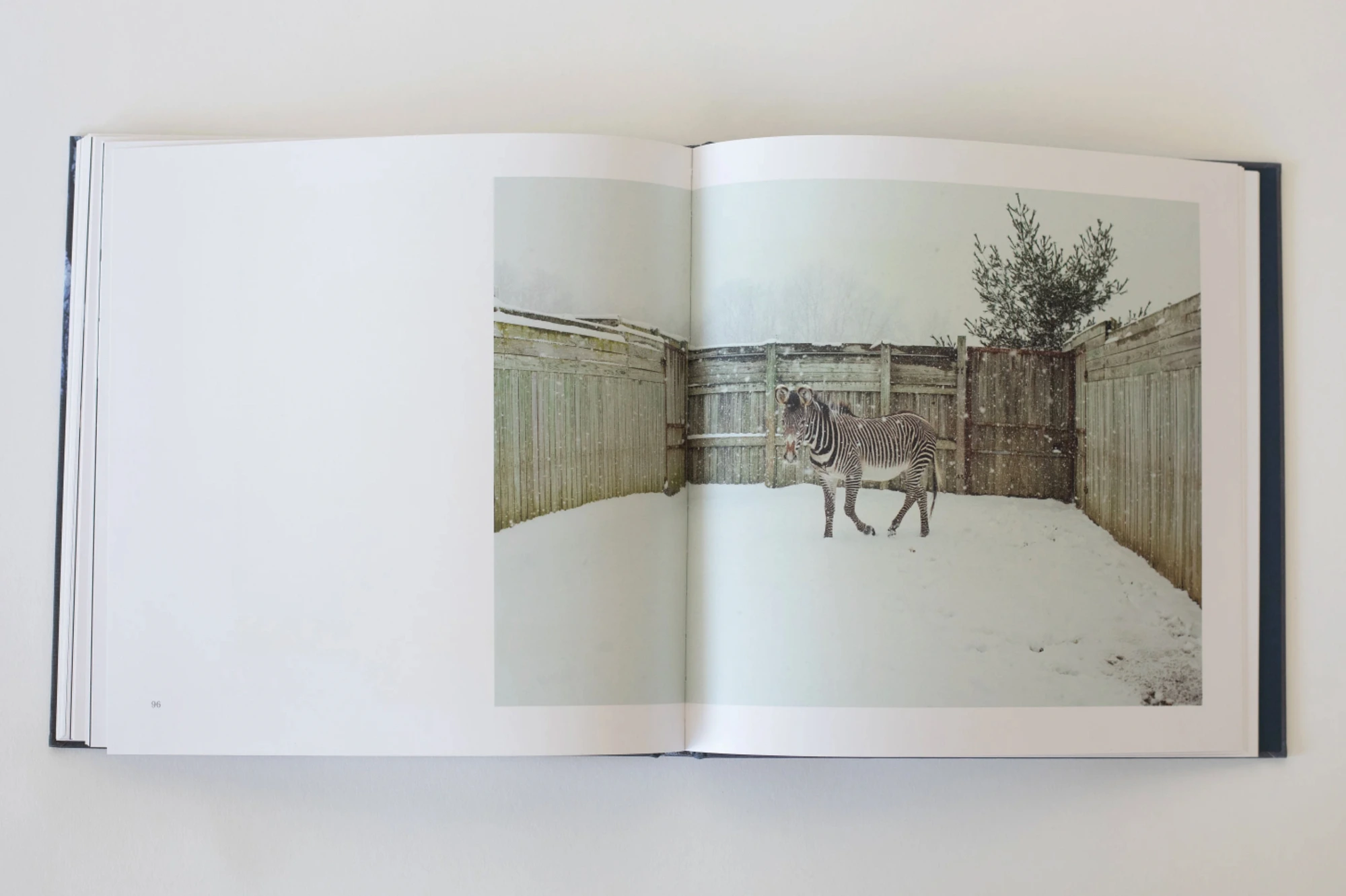 Carry Me Ohio (The Invisible Yoke, Volume I) image 5