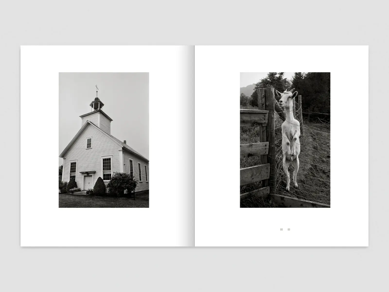 Rites of Passage image 9