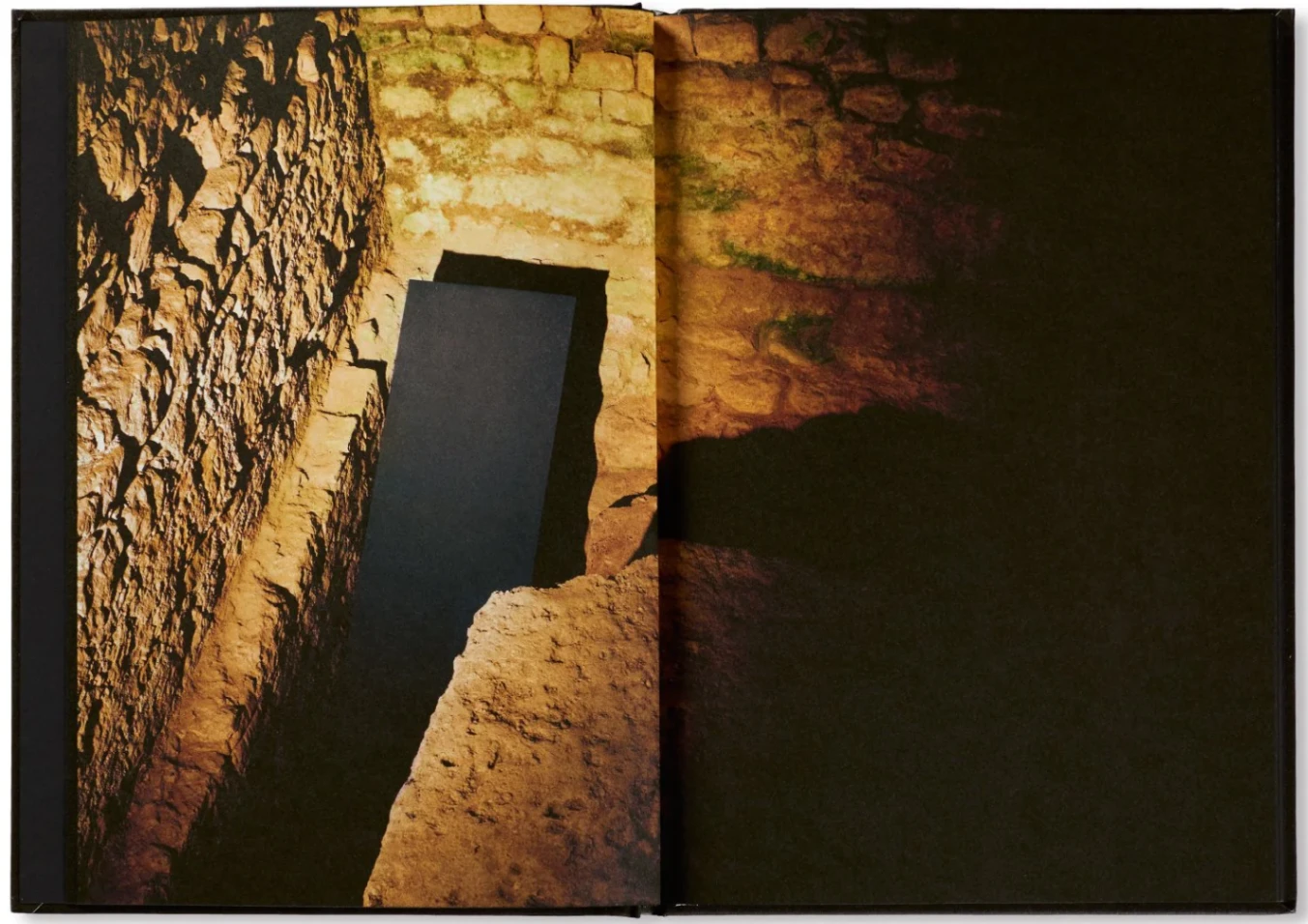 Família Aeminium image 5