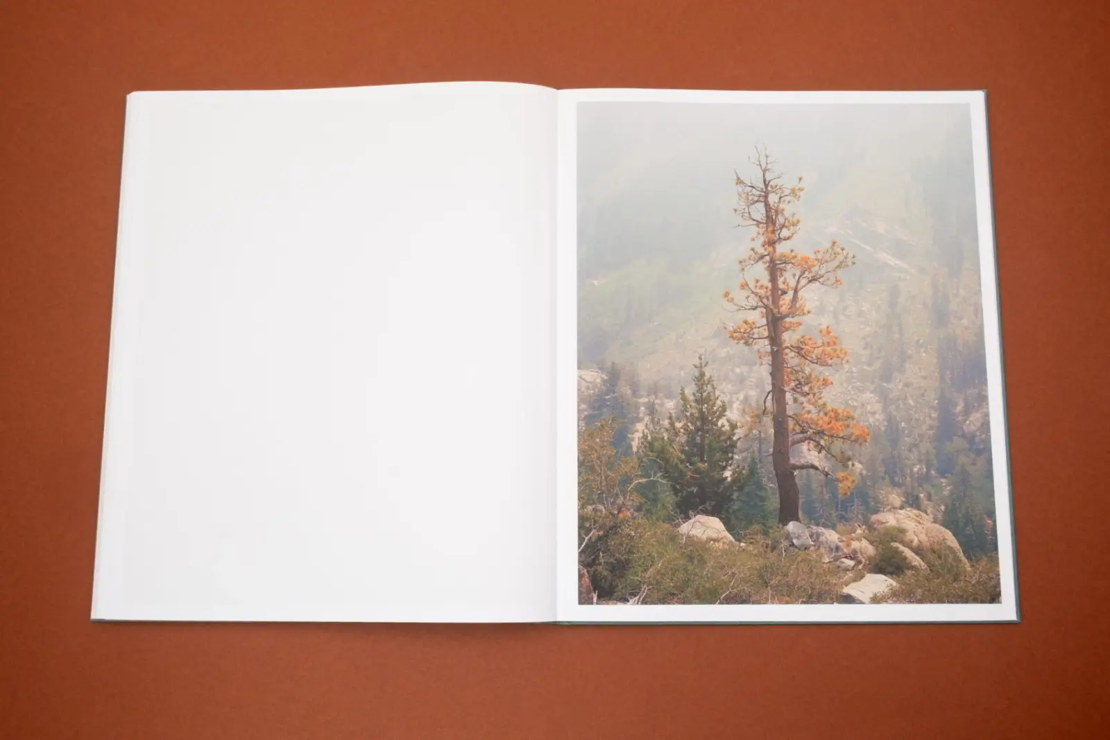 The Sierra image 3
