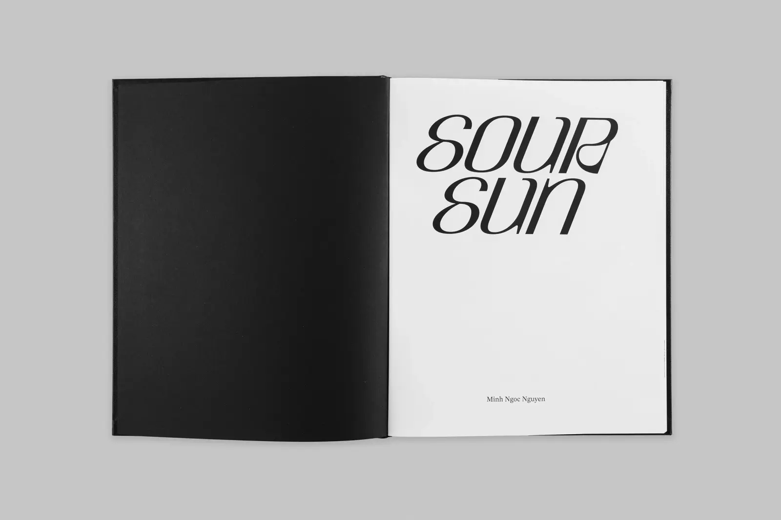 Sour Sun image 2