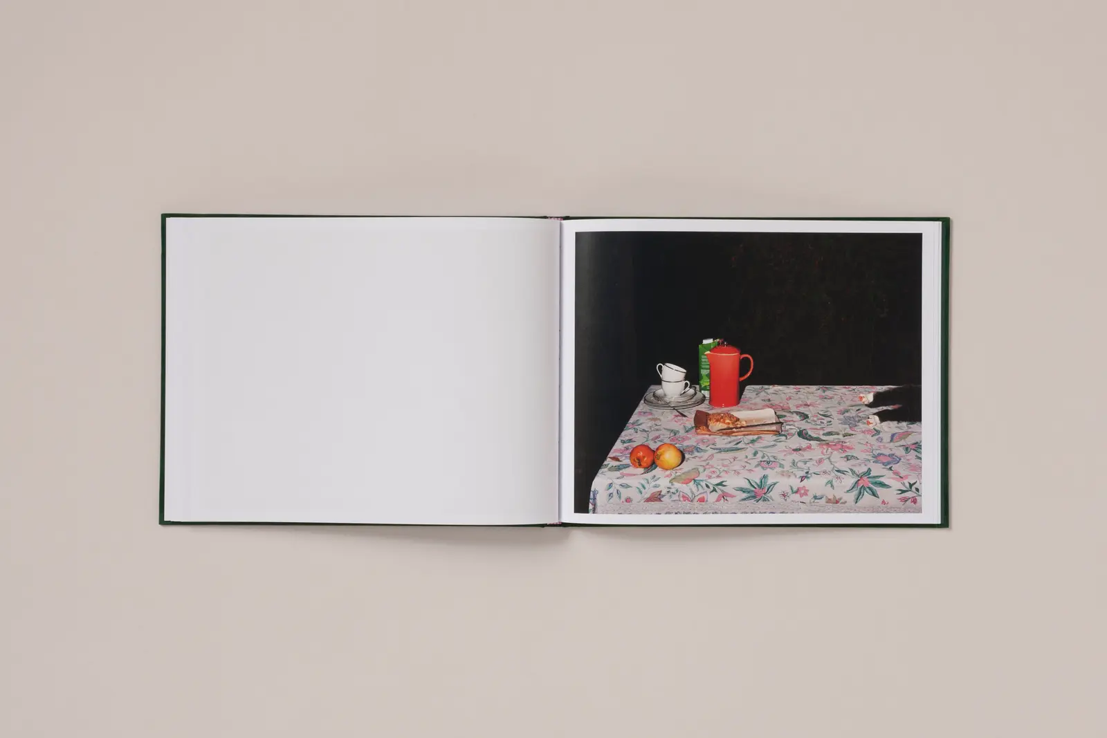 Plates I-XXXI image 3