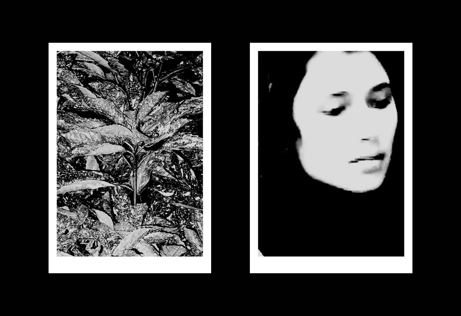 Koji's Posters image 2