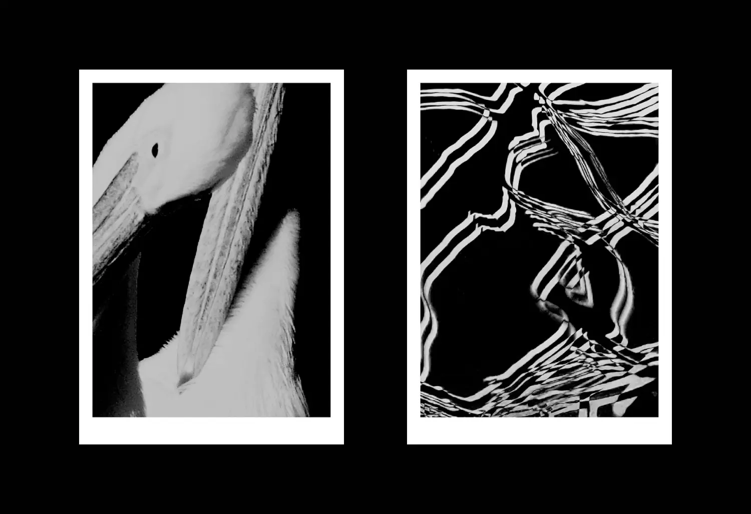 Koji's Posters image 5