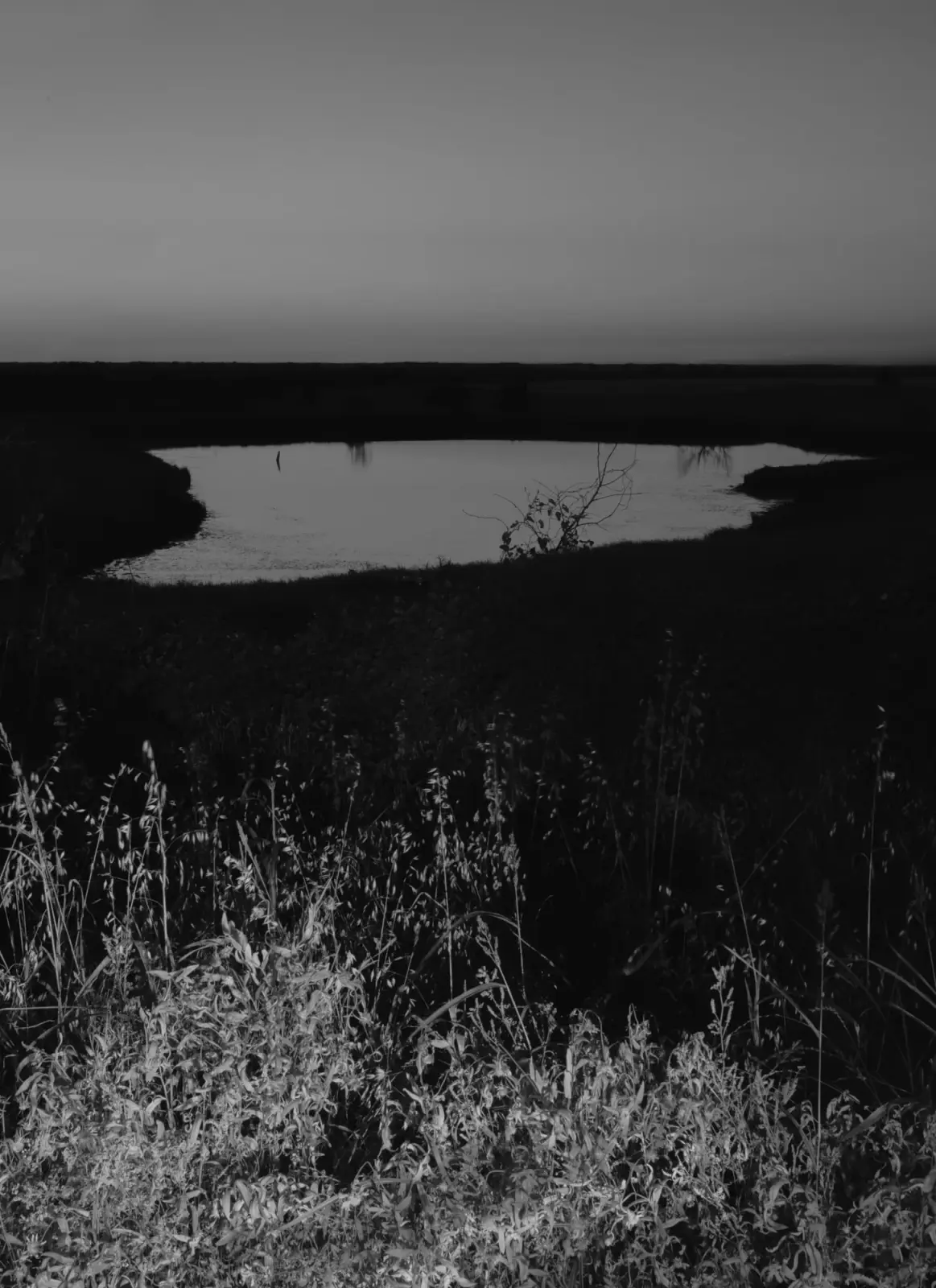 County Road image 9