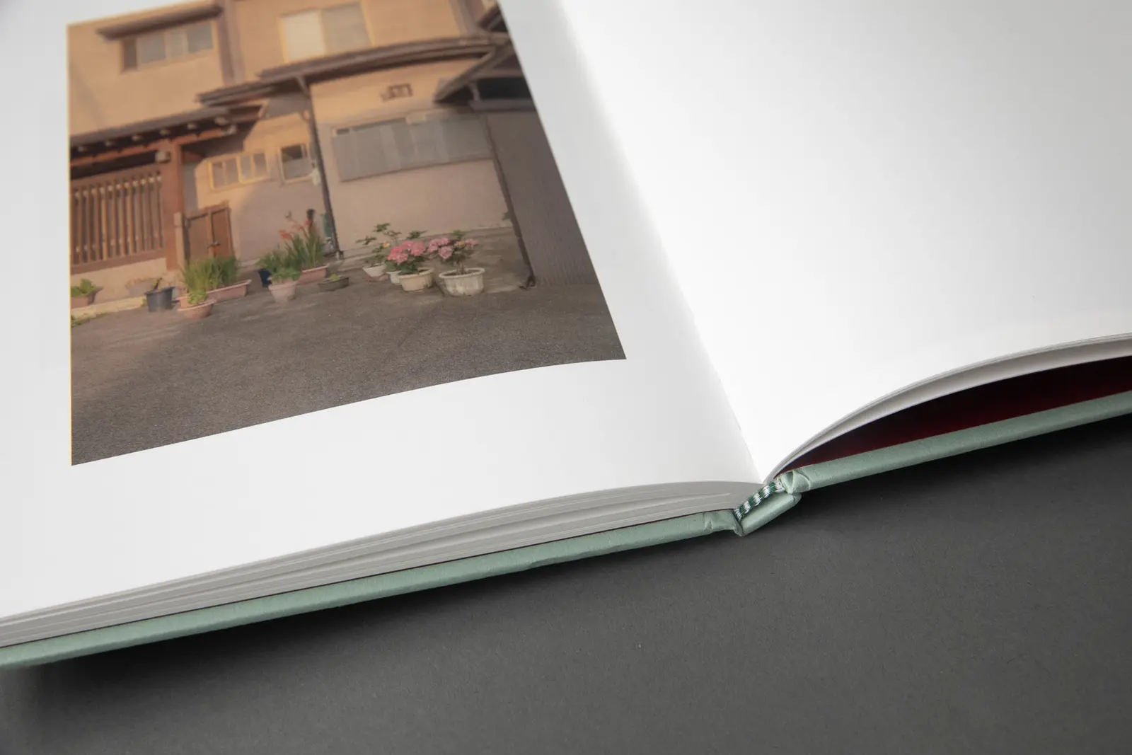 Flower(s) — Vol. 1 image 7