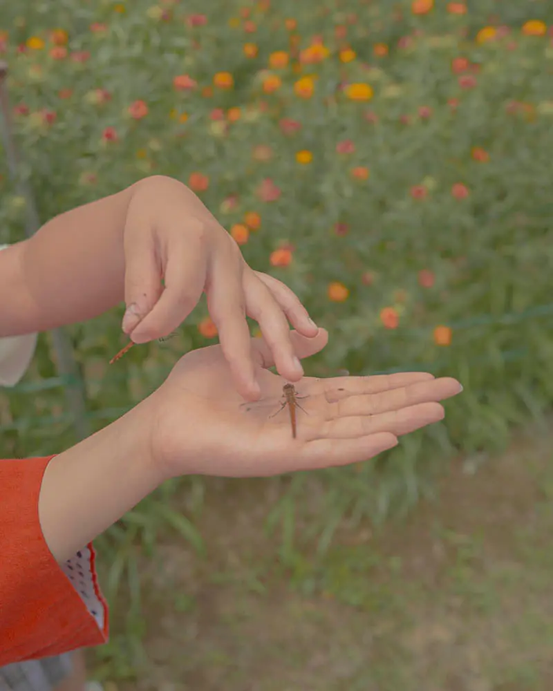 Flower(s) — Vol. 1 image 11