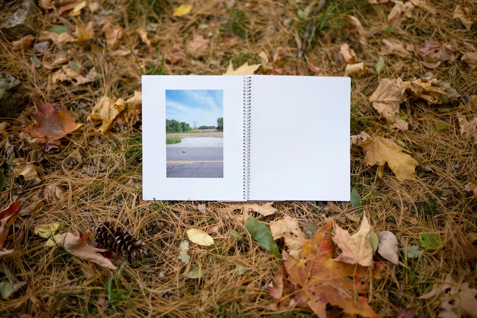 Middlescapes image 6